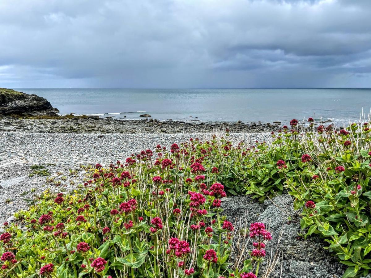 Mynydd A Mor Villa Trefor  Ngoại thất bức ảnh